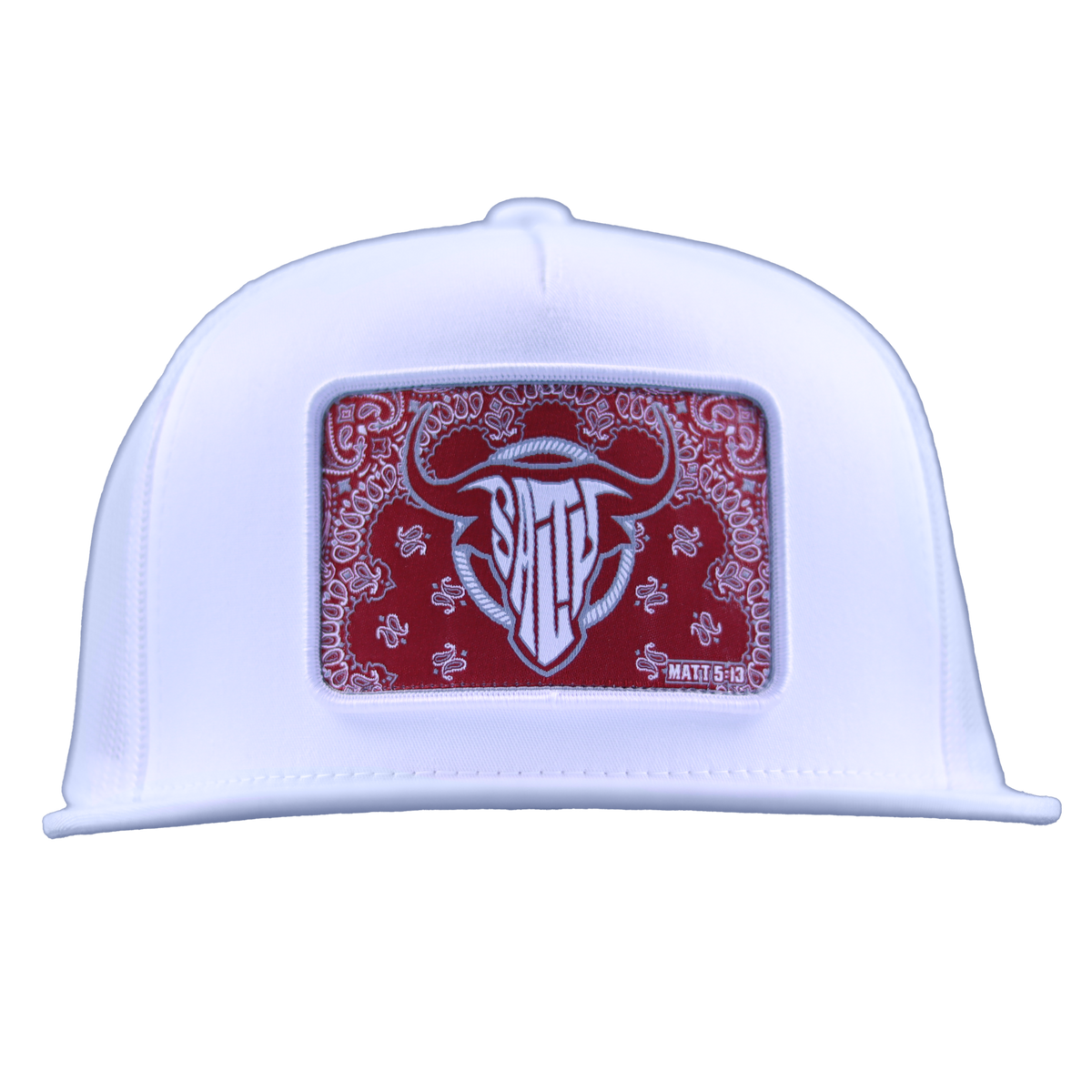 Paislee Yen Dollar Pound Fitted Snapback Hats - China Snapback