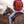 Load image into Gallery viewer, Rust Saguaro Tee